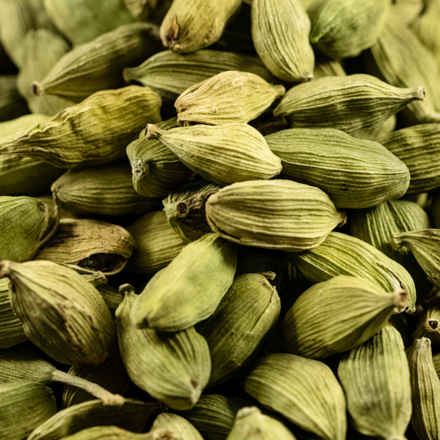 cardamome